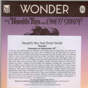 Naughty Boy And Emeli Sande - Wonder - Cd