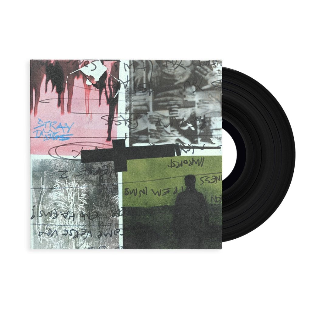 Nothing But Thieves - Stray Dogs - Lp