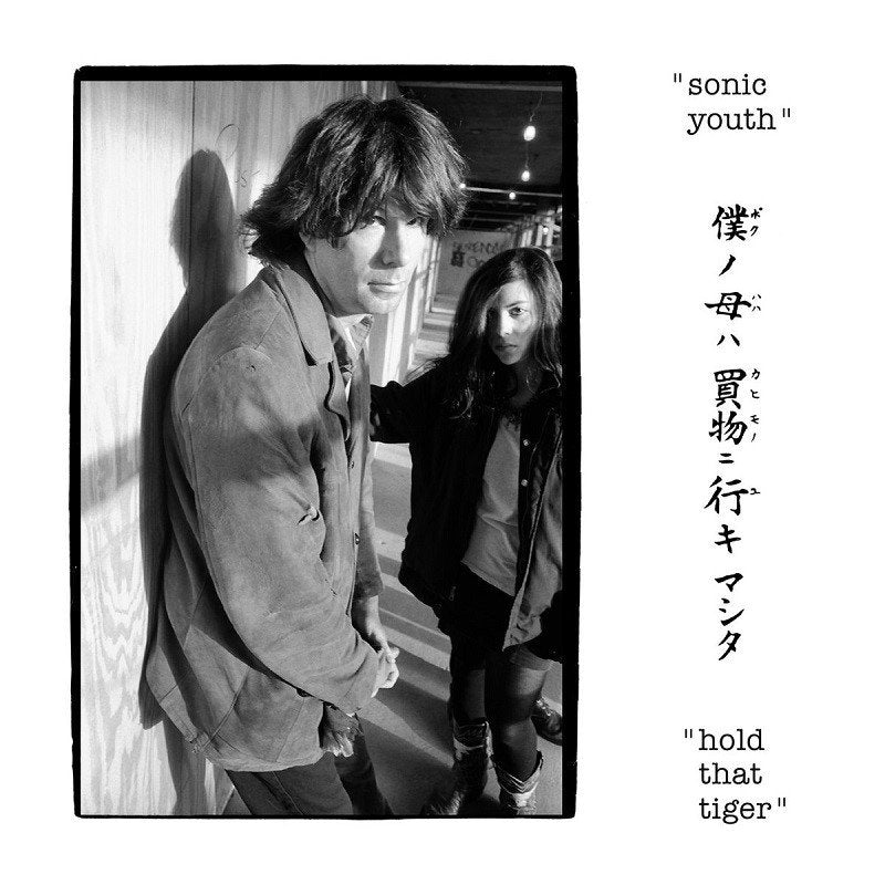 Sonic Youth - Hold That Tiger - Cd