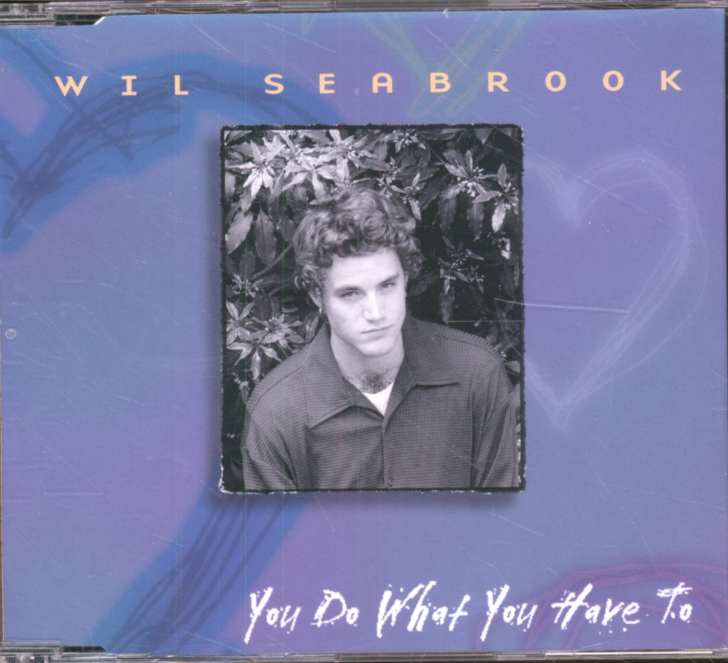 Wil Seabrook - You Do What You Have To - Cd