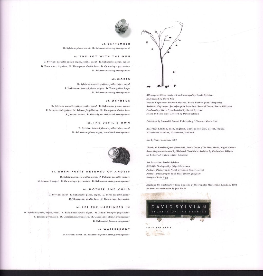 David Sylvian - Secrets Of The Beehive - Lp