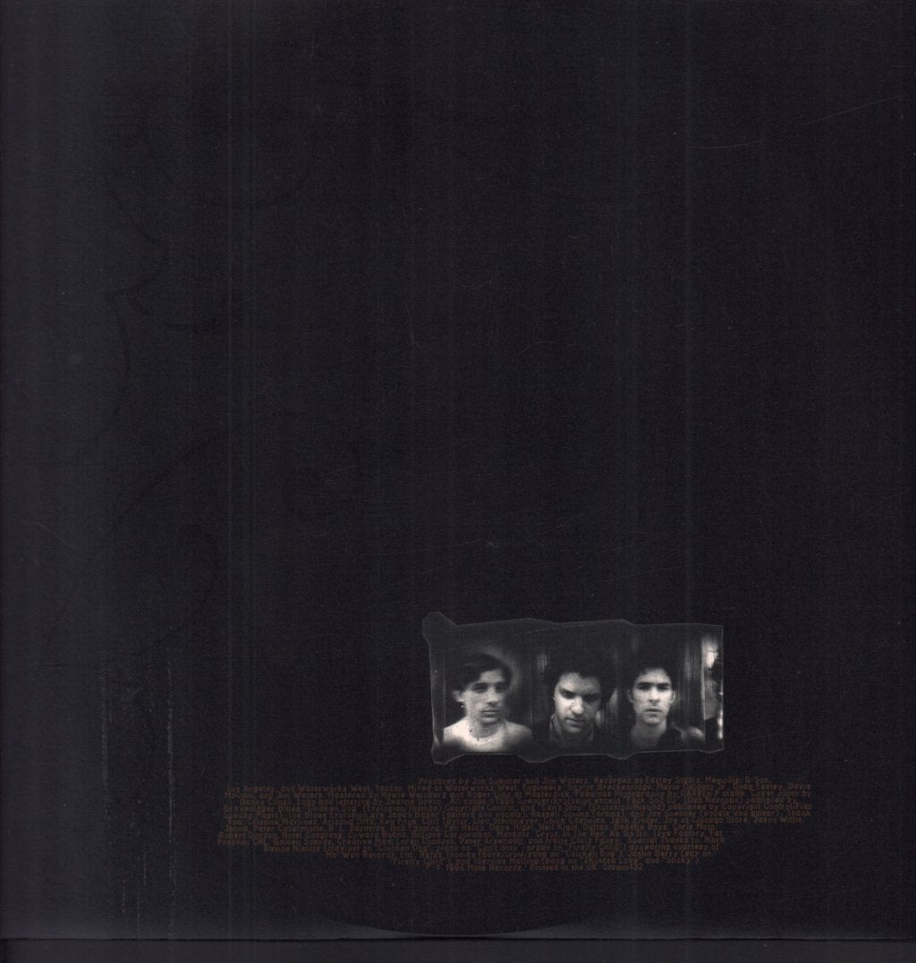 Jon Spencer Blues Explosion - Now I Got Worry - Lp