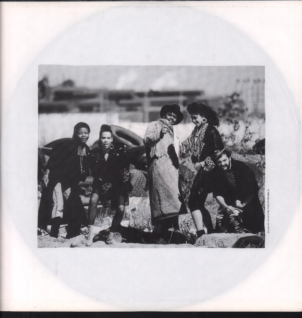Incorporated Thang Band - Lifestyles Of The Roach And Famous - Lp