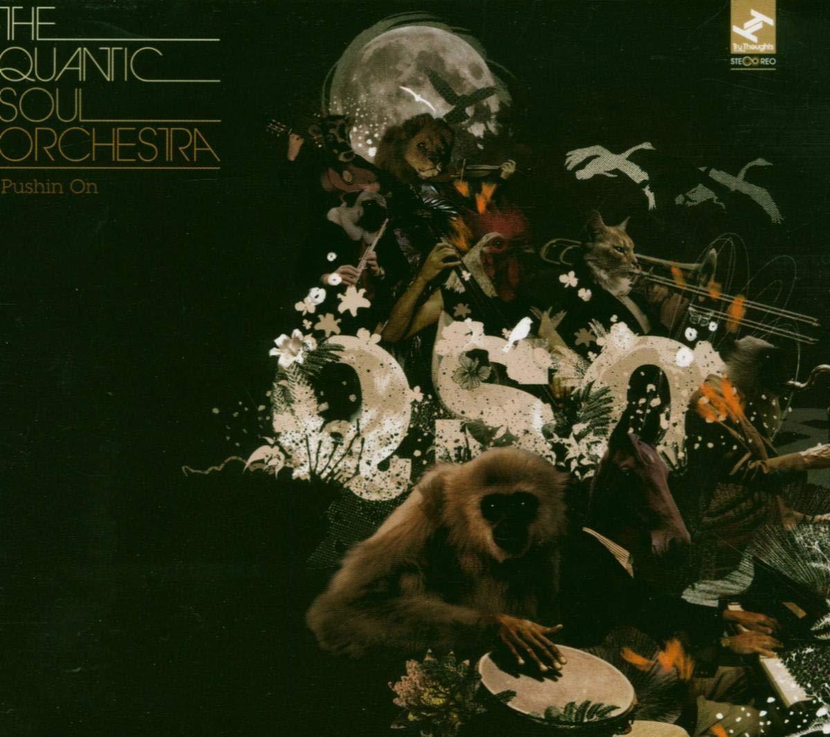 Quantic Soul Orchestra - Pushin' On - Cd