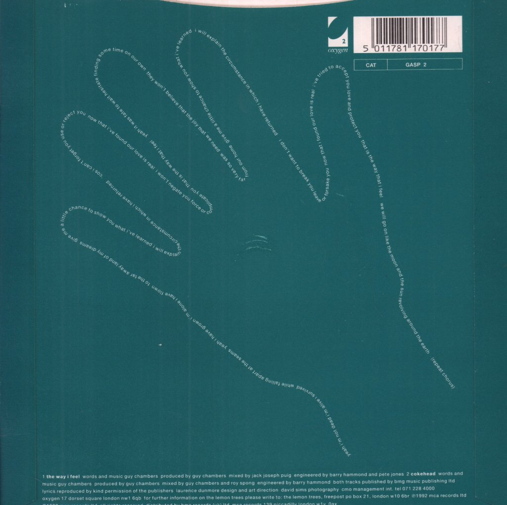 Lemon Trees - Way I Feel - 7 Inch