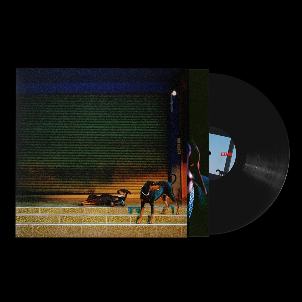 Overmono - Pure Devotion - Lp