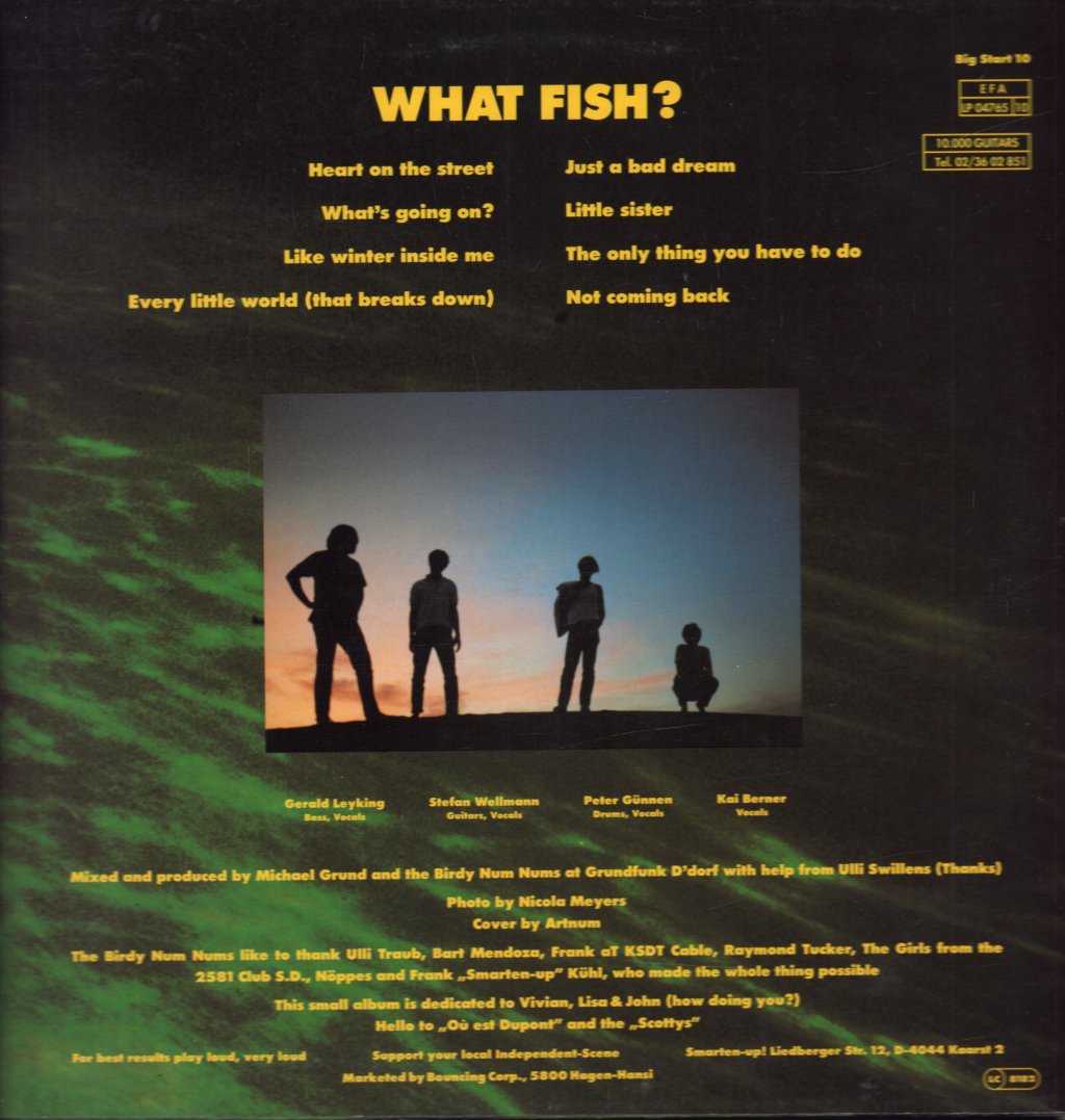 Birdy Num Nums - What Fish? - Lp
