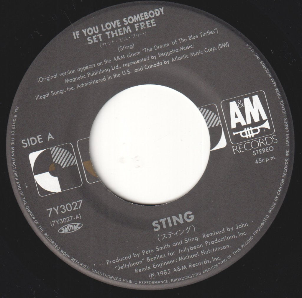 Sting - If You Love Somebody Set Them Free - 7 Inch