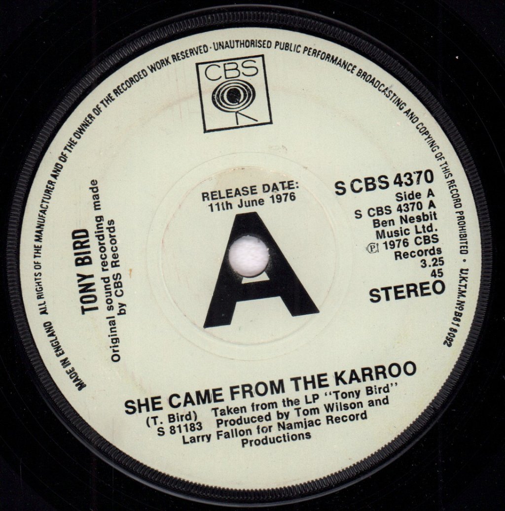 Tony Bird - She Came From The Karroo - 7 Inch