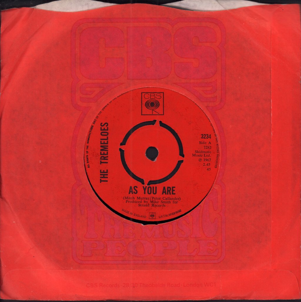 Tremeloes - As You Are - 7 Inch