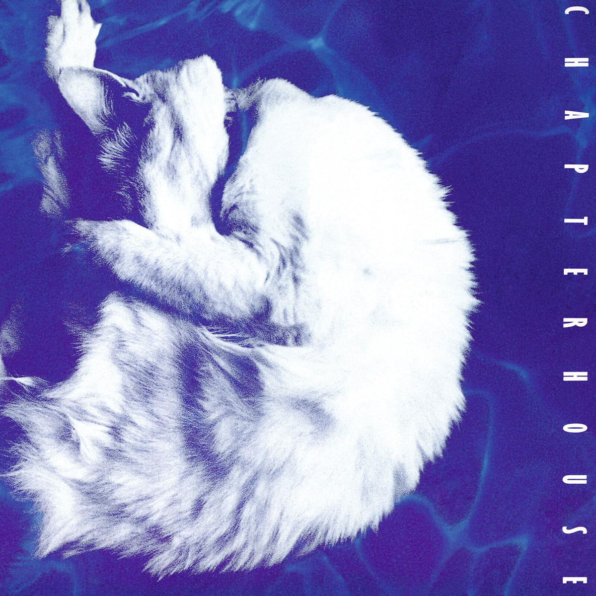 Chapterhouse - Whirlpool - Lp