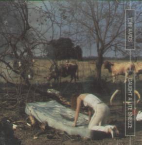 Tori Amos - Caught A Lite Sneeze - Cd