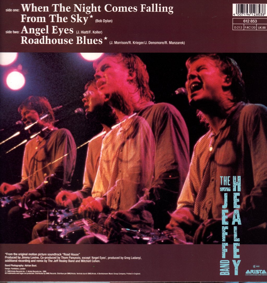 Jeff Healey Band - When The Night Comes Falling From The Sky - 12 Inch