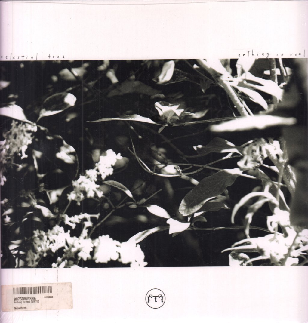 Celestial Trax - Nothing Is Real - 12 Inch