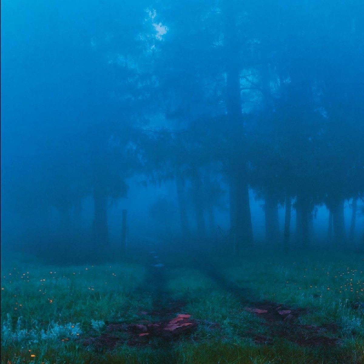 Village Green Presents Commune - Commune - 12 Inch