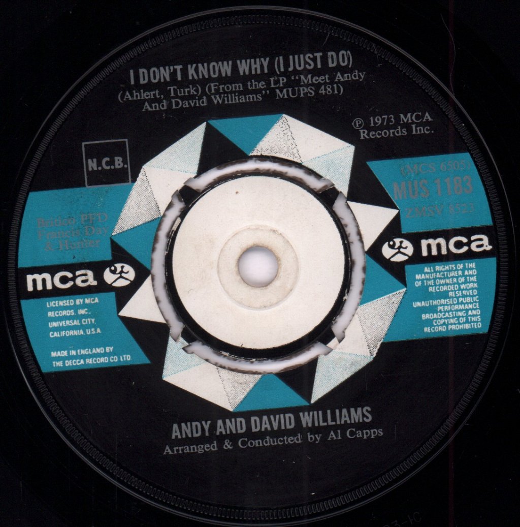 Andy And David Williams - I Don't Know Why - 7 Inch
