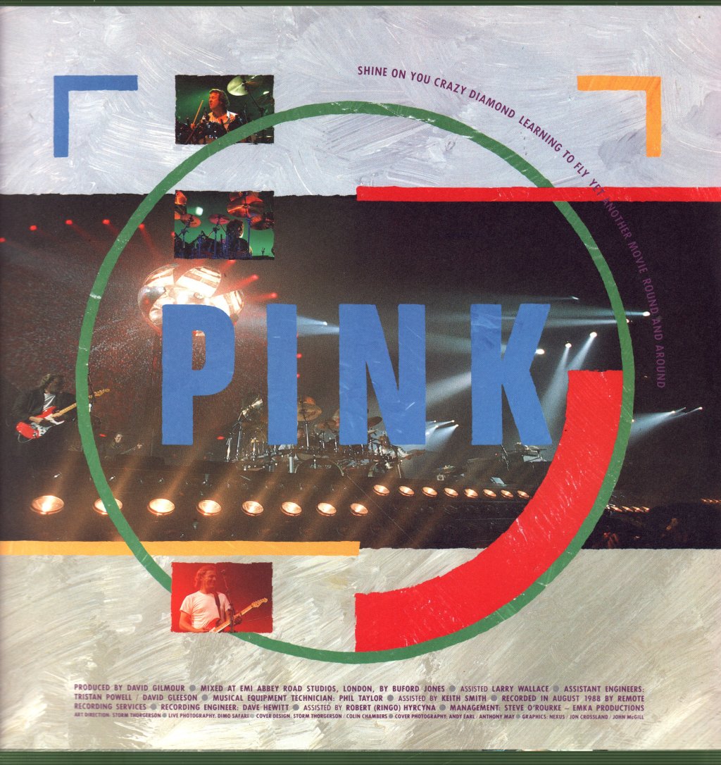 Pink Floyd - Delicate Sound Of Thunder - Lp