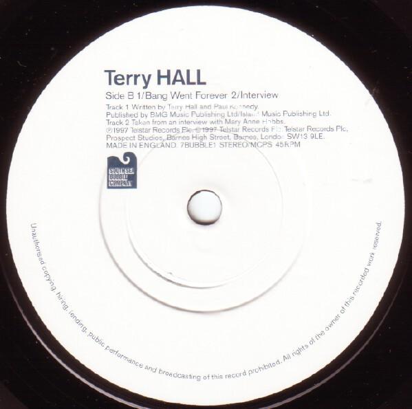 Terry Hall - Ballad Of A Landlord - 7 Inch