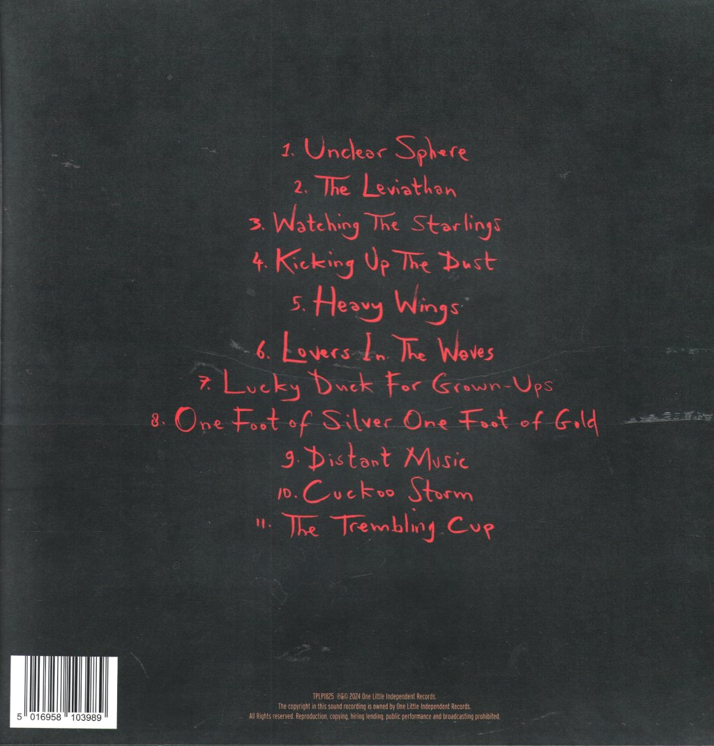 Marry Waterson and Adrian Crowley - Cuckoo Storm - Lp