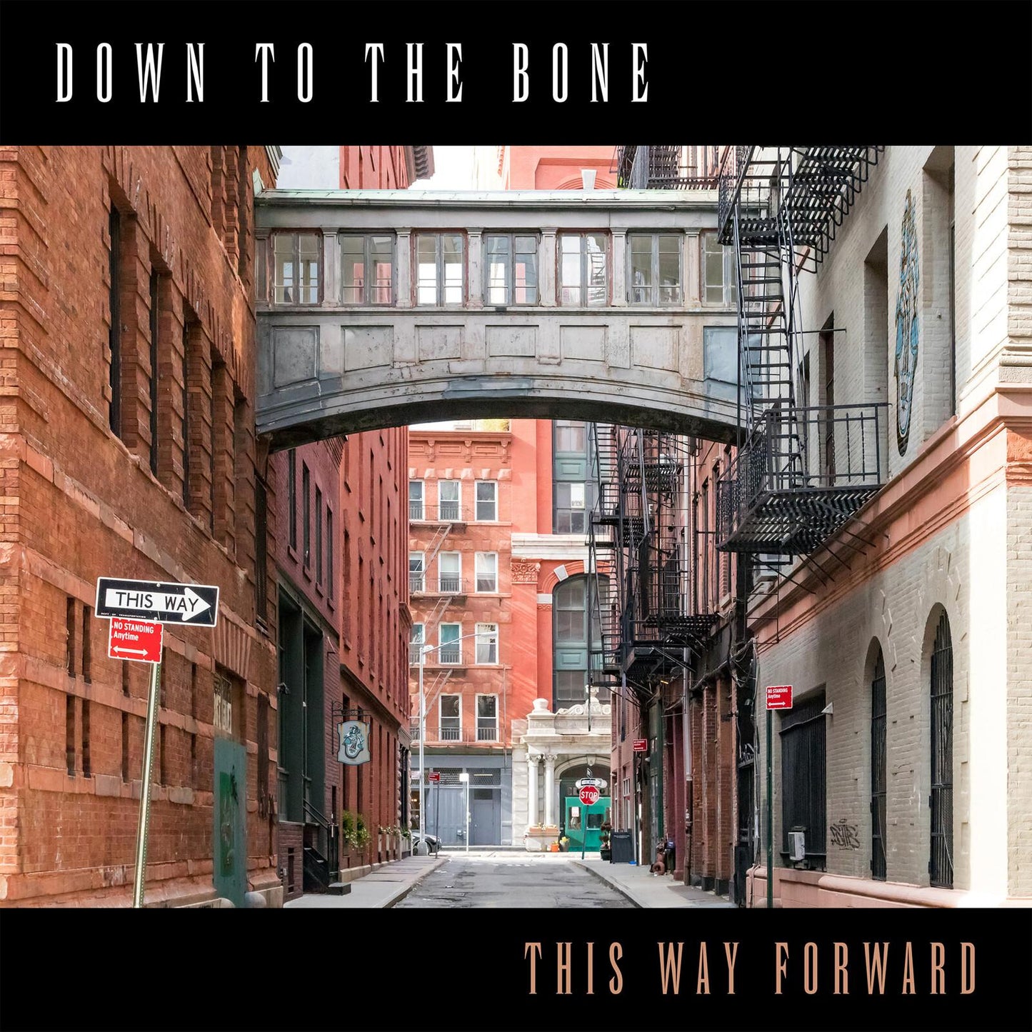 Down To The Bone - This Way Forward - Cd