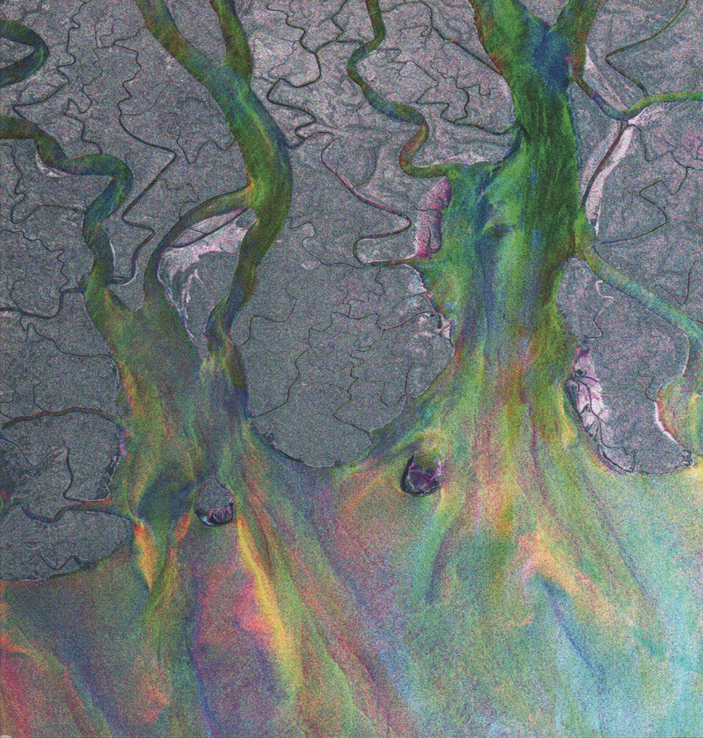 Alt-J - An Awesome Wave - Lp