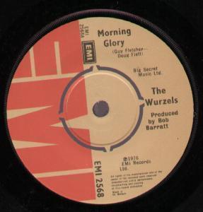 Wurzels - Morning Glory - 7 Inch