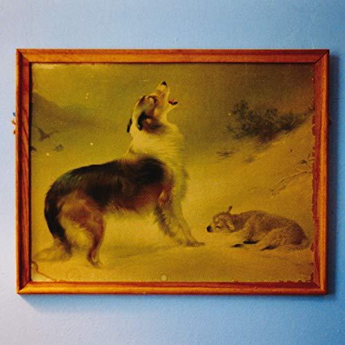 Explosions In The Sky - Rescue [20th Anniversary Edition] - Lp