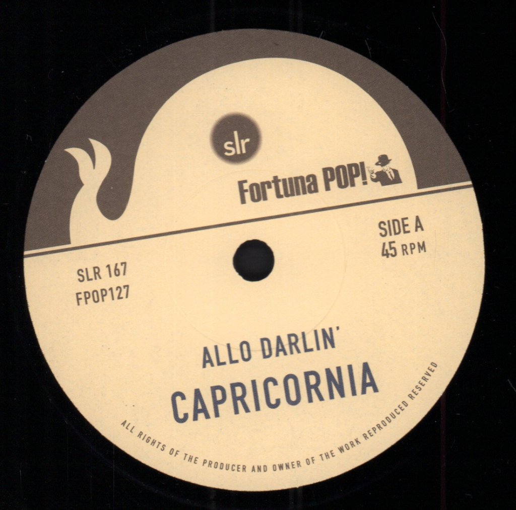 Allo Darlin' - Capricornia - 7 Inch