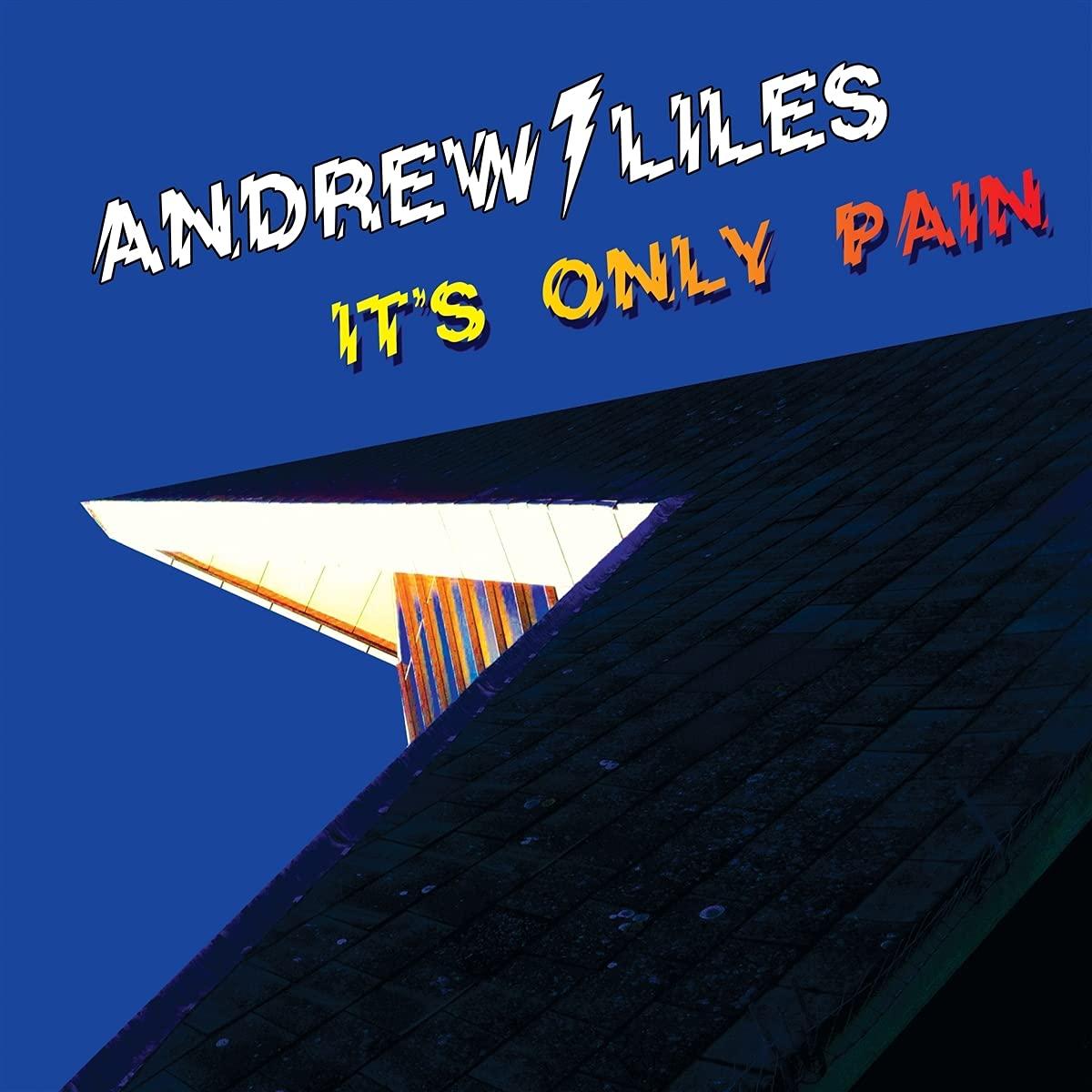 Andrew Liles - It's Only Pain - Lp