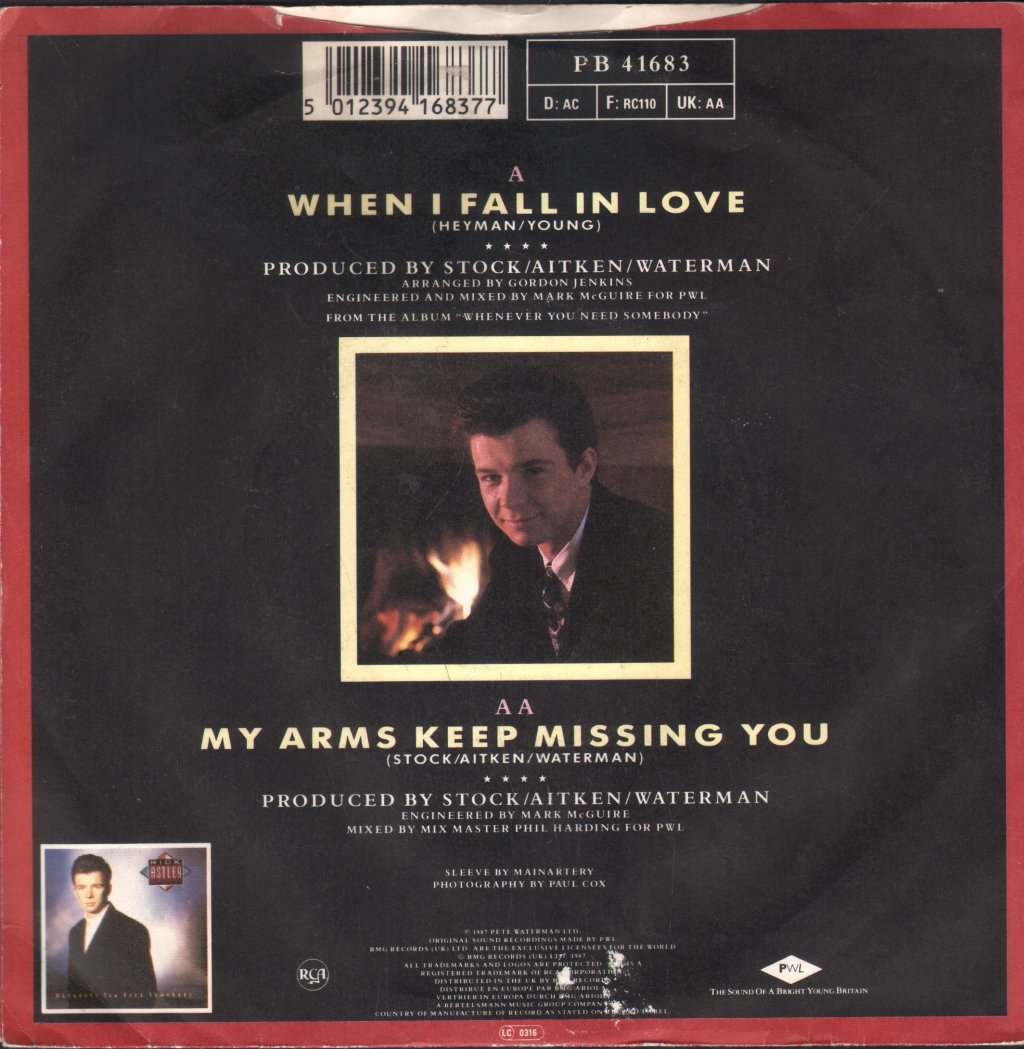 Rick Astley - When I Fall In Love - 7 Inch
