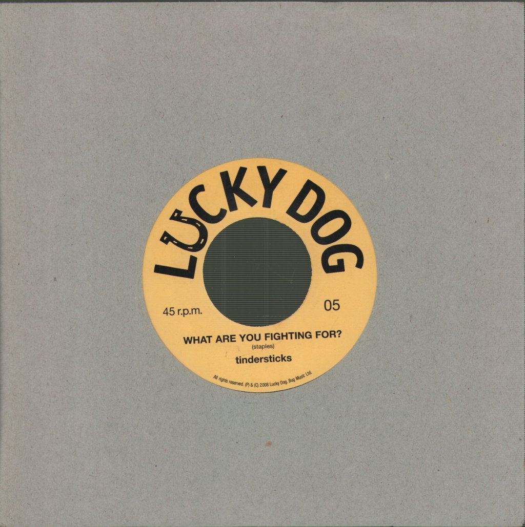 Tindersticks - What Are You Fighting For? - 7 Inch