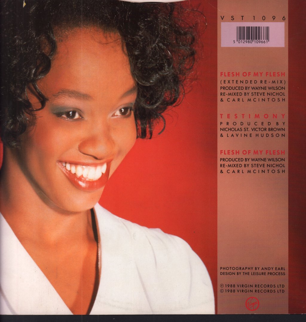 Lavine Hudson - Flesh Of My Flesh - 12 Inch