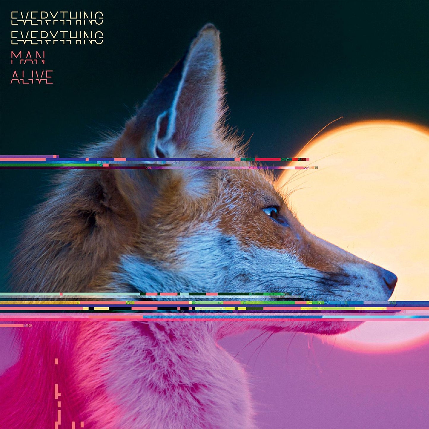 Everything Everything - Man Alive - Double Lp