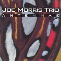 Joe Morris Trio - Antennae - Cd