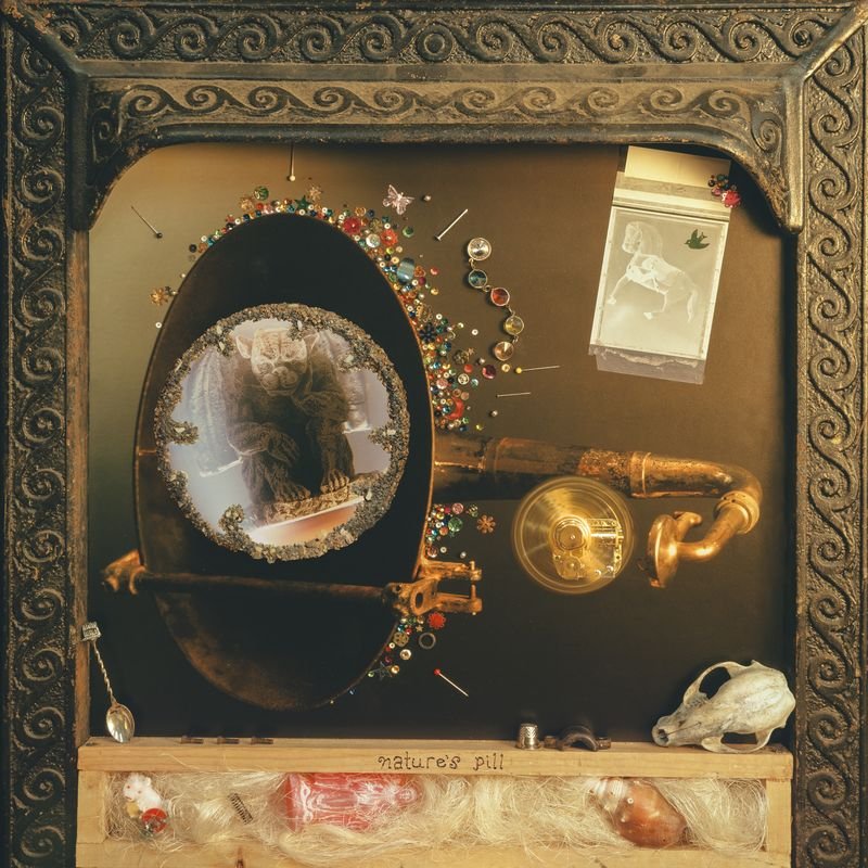Wishy - Nature's Pill - Lp