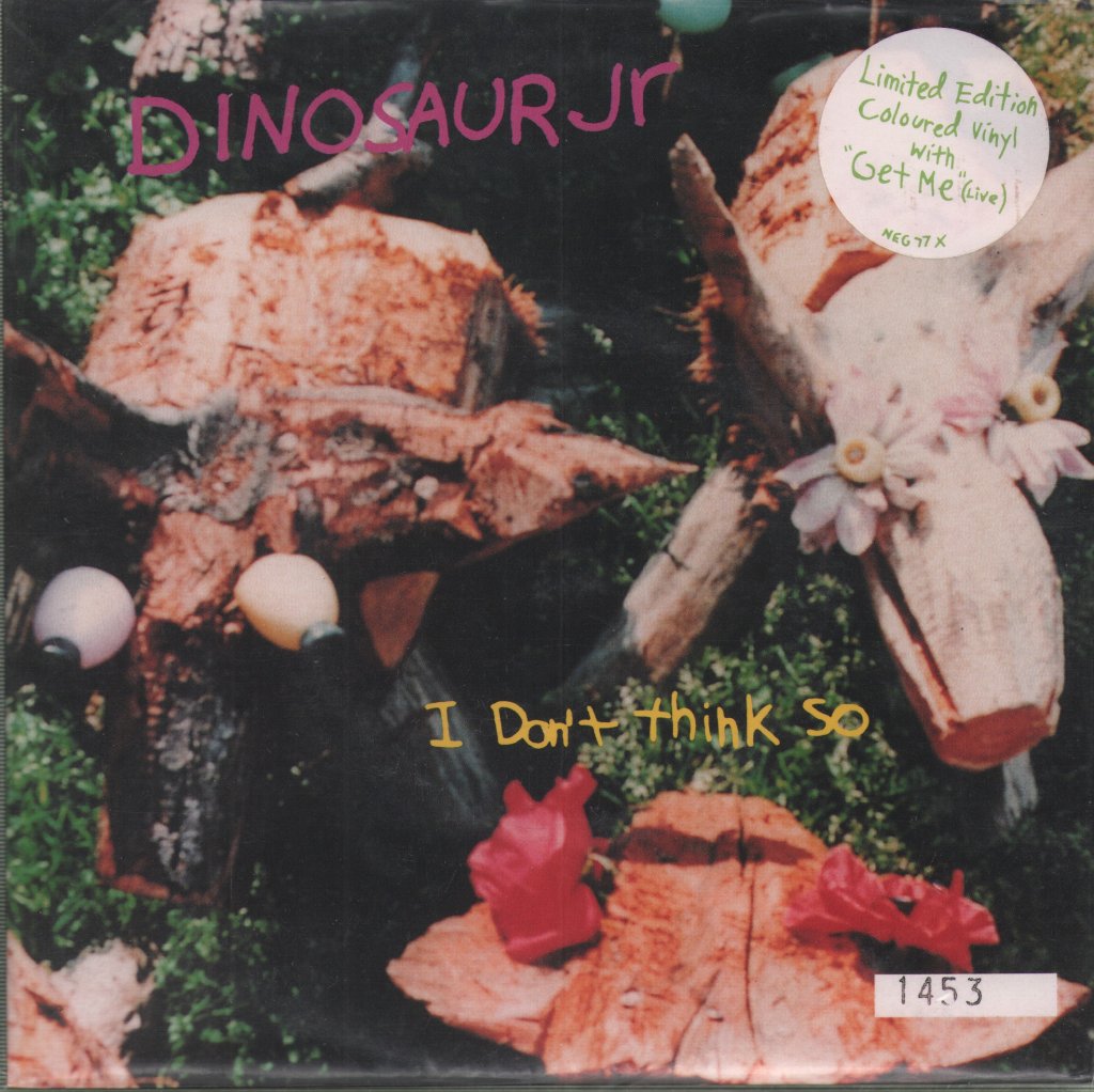 Dinosaur Jr - I Don't Think So - 7 Inch