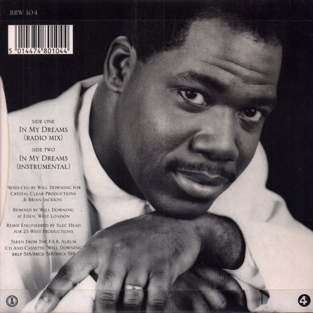 Will Downing - In My Dreams - 7 Inch