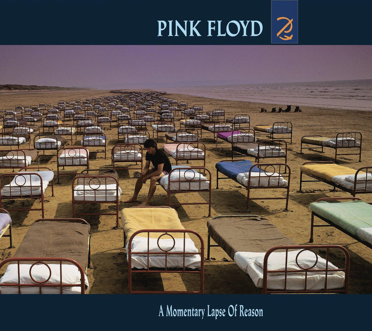 Pink Floyd - A Momentary Lapse of Reason - Cd