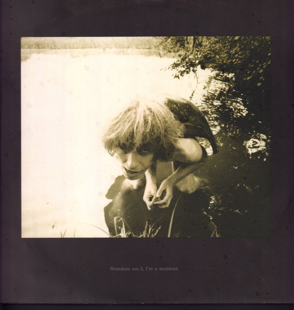 Julian Cope - Fried - Lp