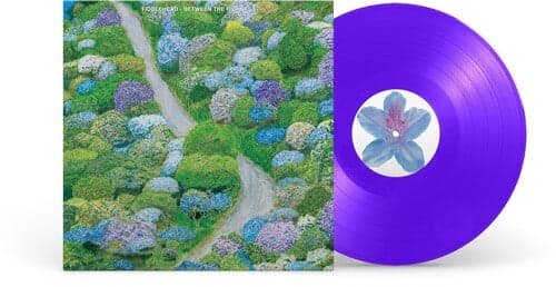 Fiddlehead - Between the Richness - Lp