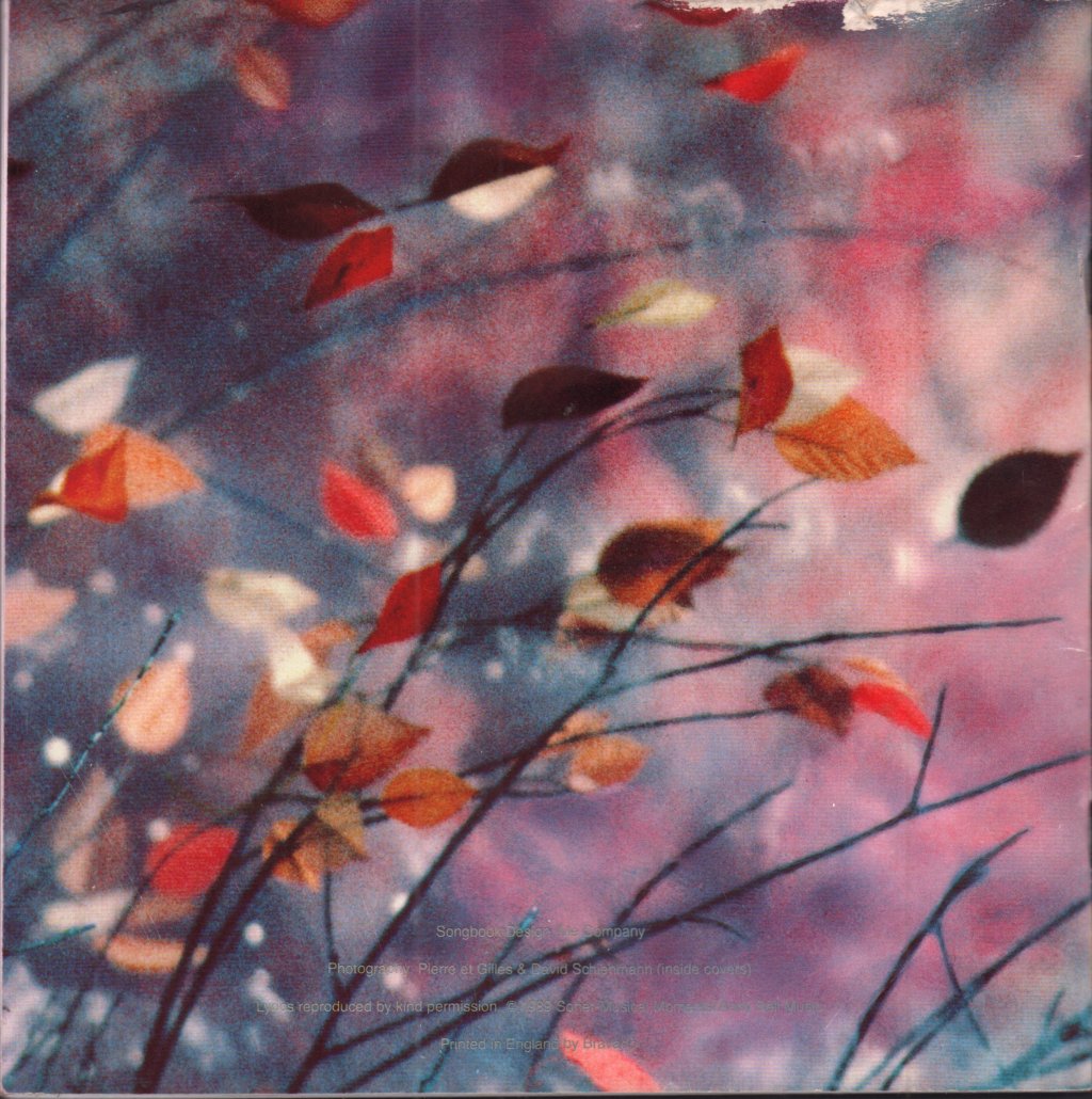 Erasure - Wild - Tour Programme
