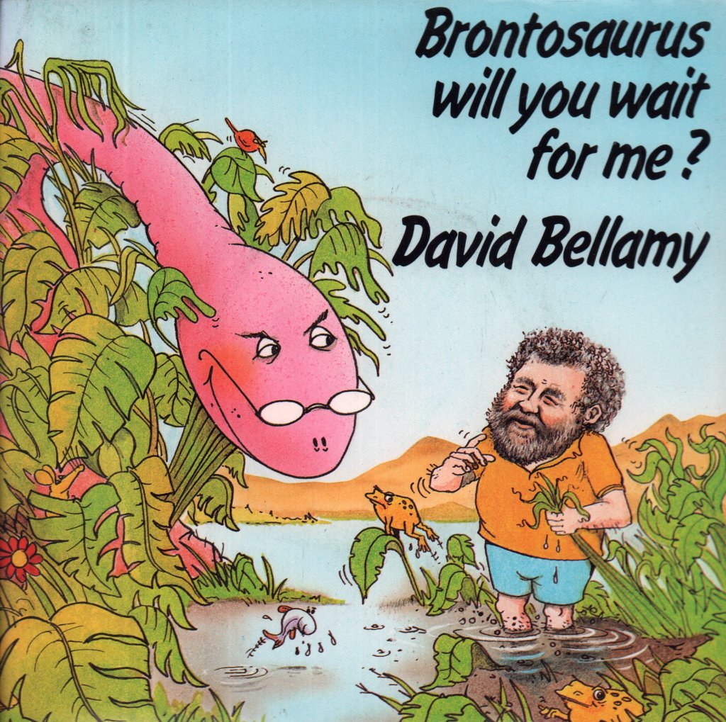 David Bellamy - Brontosaurus Will You Wait For Me - 7 Inch