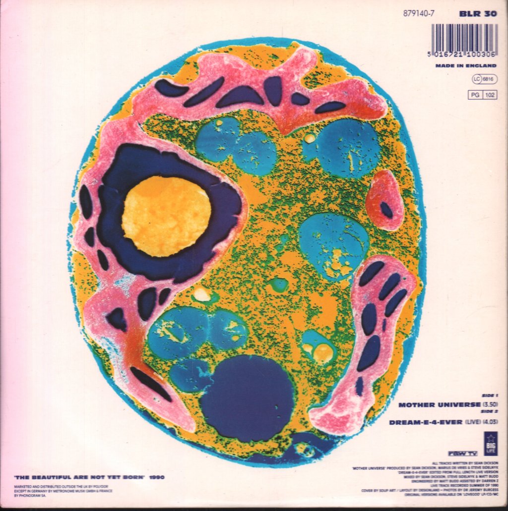 Soup Dragons - Mother Universe - 7 Inch