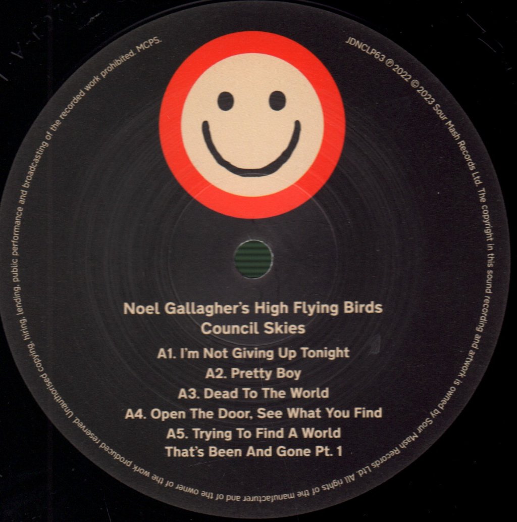 Noel Gallagher's High Flying Birds - Council Skies - Lp