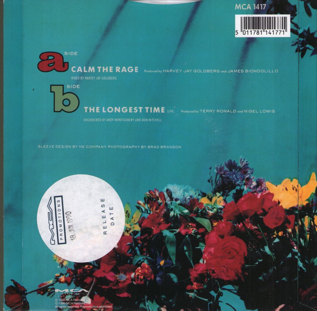Terry Ronald - Calm The Rage - 7 Inch