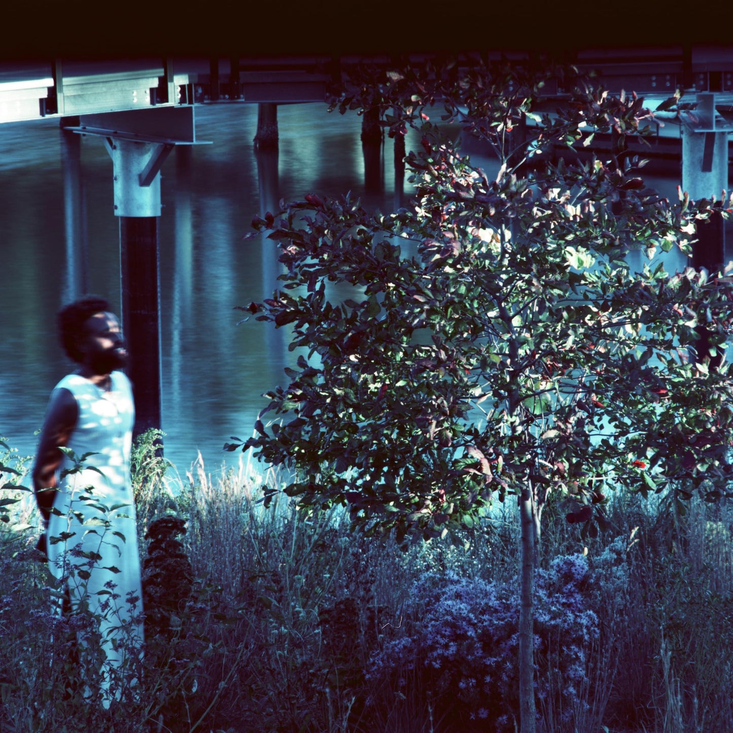 JJJJJerome Ellis - Vesper Sparrow - Cd