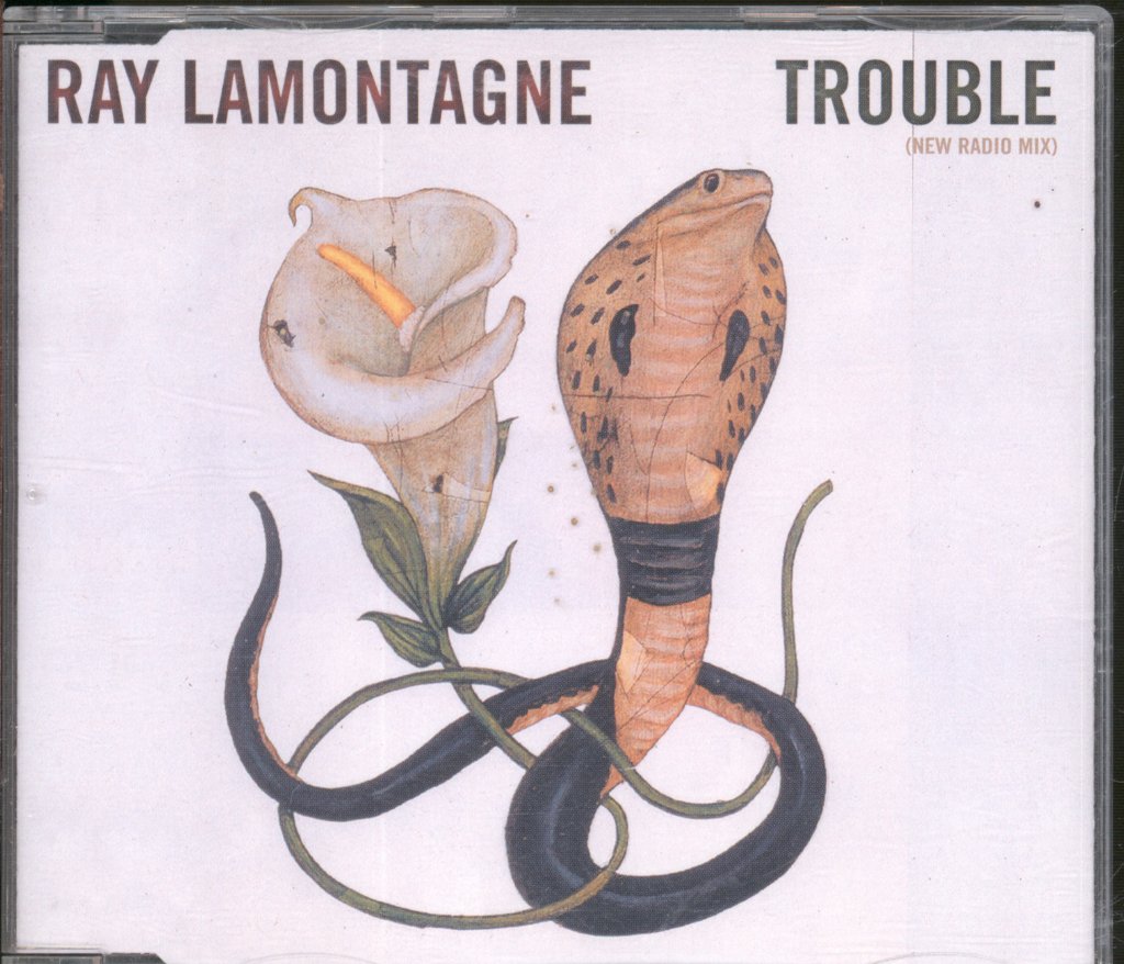 Ray Lamontagne - Trouble (New Radio Mix) - Cd
