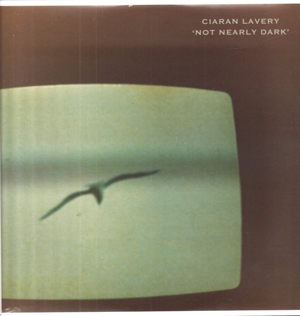 Ciaran Lavery - Not Nearly Dark - Lp