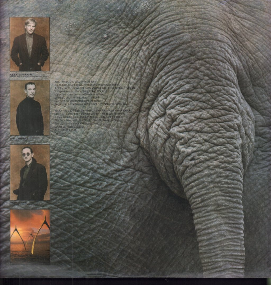 Rush - Roll The Bones - Lp