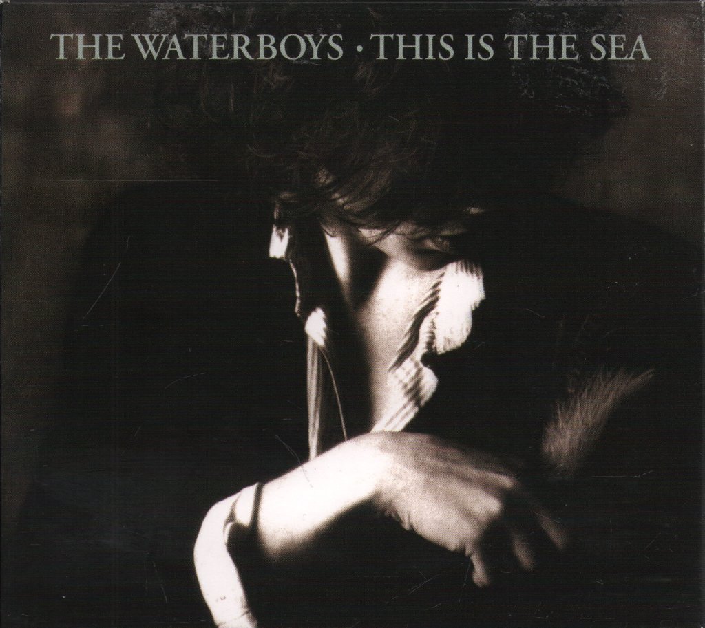 Waterboys - This Is The Sea - Cd Set